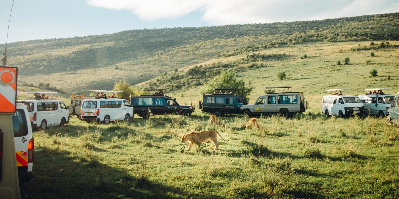 4 Days Masai Mara Lodge Safari
