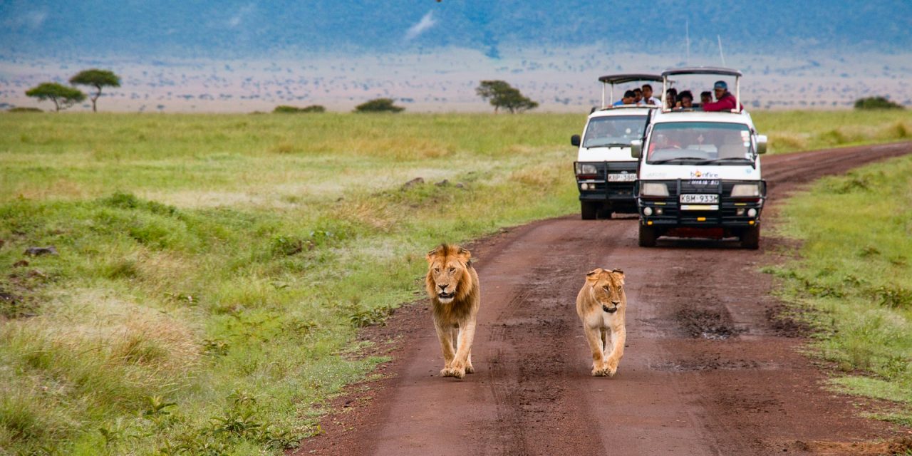 6 Days Kenya & Tanzania Tour: Masai Mara, Serengeti & Ngorongoro