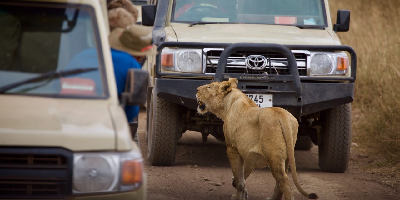 5 Days Nakuru, Naivasha & Masai Mara | Private 4×4 Lodge Safari: 2 pax